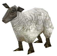 Verwandlung Schaf