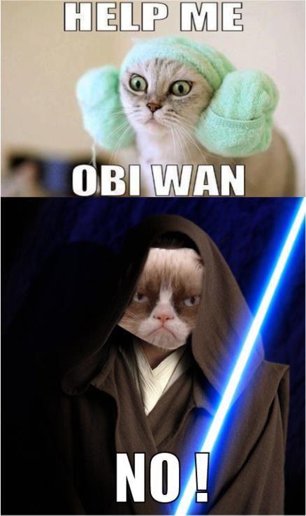 Star Wars meets Grumpy Cat