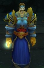 Varian Wrynn altes Modell