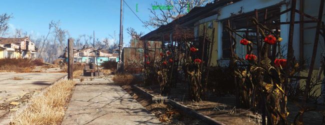 Fallout4_survival2